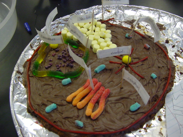 Edible Cell - SAS