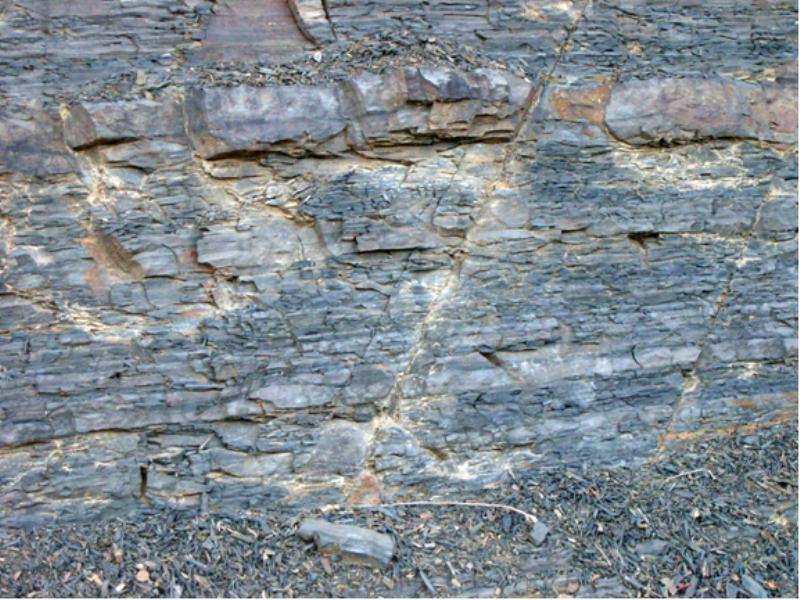 Earth Science Digital Image Library - Ordovician Shale - Sas